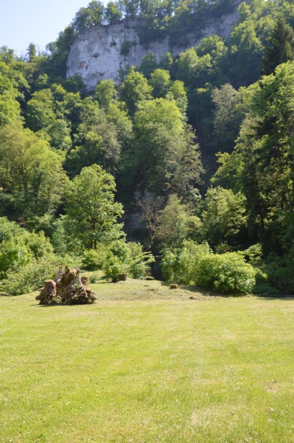 Moulin De La Cuse - Chambre L'Anse Cusance Dış mekan fotoğraf